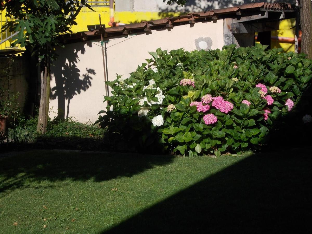 Les Hirondelles Bed & Breakfast Фенис Екстериор снимка